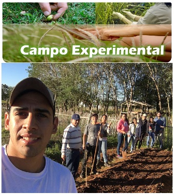 Campo Experimental
