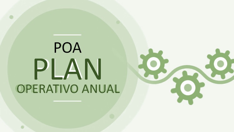 Plan Operativo Anual — POA