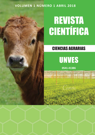 Revista científica N° 1 — 2018
