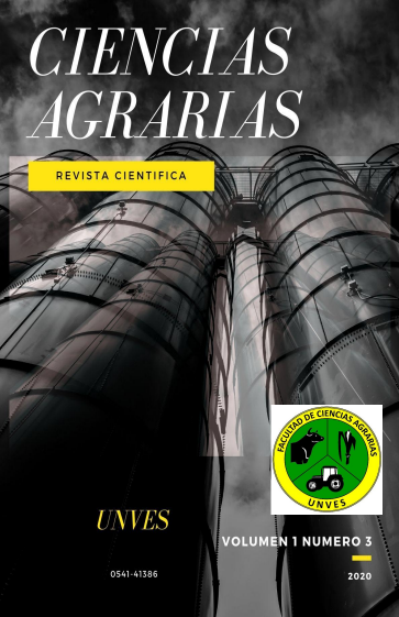Revista científica N° 3 — 2020