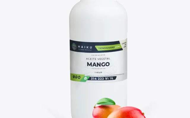 CALIDAD DEL ACEITE OBTENIDO A PARTIR DE SEMILLA DE MANGO (MANGIFERA INDICA) EN LA CIUDAD DE VILLARRICA, AÑO 2025
