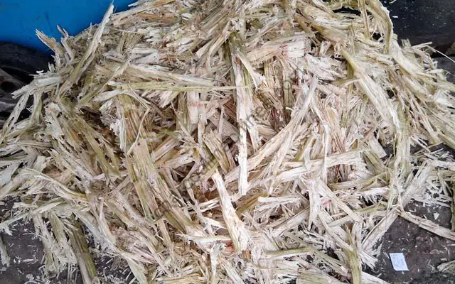 APROVECHAMIENTO DE RESIDUOS INDUSTRIALES PARA LA PRODUCCIÓN DE BRIQUETAS DE BAGAZO, EN LA CIUDAD DE MAURICIO JOSÉ TROCHE, AÑO 2024