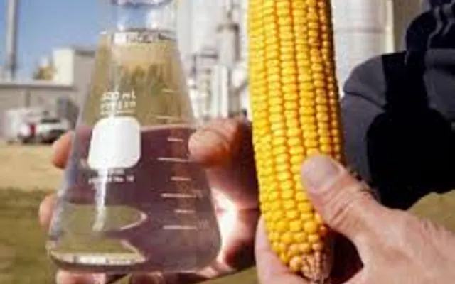 EFICIENCIA EN LA PRODUCCION DE ETANOL A PARTIR DE DOS VARIEDADES DE MAIZ (ZEA MAYS) EN LA CIUDAD DE TEBICUARY, 2025